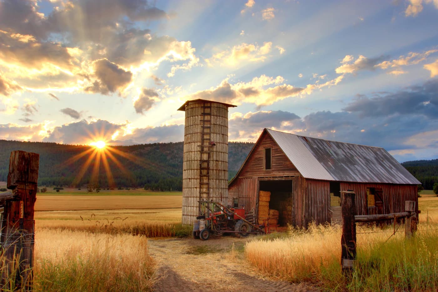 Imagem editorial de campos agrícolas organizados em padrões geométricos.